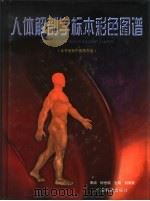 人体解剖学标本彩色图谱   1998  PDF电子版封面  7535920543  胡耀民主编 