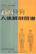 新编人体解剖图谱 1998 PDF电子版封面 7538102272 于频,王序主编