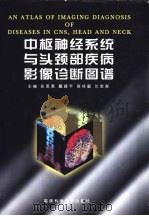 中枢神经系统与头颈部疾病影像诊断图谱（1999 PDF版）