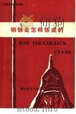 钢铁是怎样炼成的 改写本 1986 PDF电子版封面 9215·244 (苏)奥斯特洛夫基著;谈子强改写