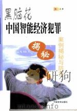 黑脑花 中国智能经济犯罪案例揭秘与防范 1999 PDF电子版封面 7801281926 吴一夫著