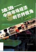 法治  中国市场经济的独特视角（1997 PDF版）