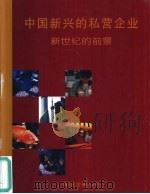 中国新兴的私营企业  新世纪的前景（ PDF版）
