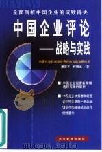 中国企业评论  战略与实践（1999 PDF版）