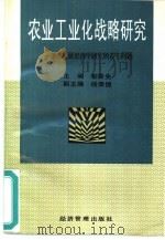 农业工业化战略研究  兼论发展经济学研究的若干问题（1993 PDF版）