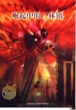 崛起中的三林镇（ PDF版）