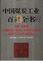 中国煤炭工业百科全书 地质·测量卷 1996 PDF电子版封面 7502010475 杨锡禄,周国铨主编