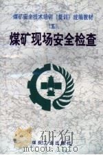 煤矿现场安全检查（1999 PDF版）