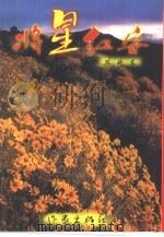 将星红安（1999 PDF版）