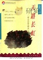 天路长虹  “劈山开路先锋连”纪实（1999 PDF版）