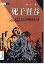 死于青春  一个年仅十九岁的警察的悲壮故事（1999 PDF版）