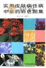 实用皮肤病性病中草药彩色图集（1997 PDF版）