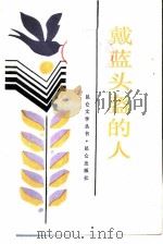 戴蓝头盔的人（1985 PDF版）
