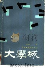 大学城 1987 PDF电子版封面 7505900943 袁越著