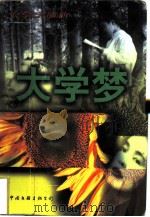 大学梦   1998  PDF电子版封面  7505927515  袁越著 