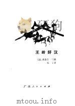 王岭好汉 1983 PDF电子版封面 10113·250 (捷)米洛什·马利著;乐辛译