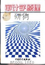 审计学原理 1996 PDF电子版封面 7800645401 肖文八主编