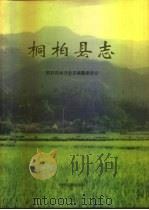 桐柏县志（1995 PDF版）