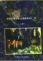 安顺市志  上（ PDF版）