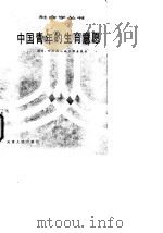 中国青年的生育意愿 北京、四川两地城乡调查报告 1982 PDF电子版封面 张子毅等著