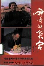 神奇的契合 毛泽东邓小平与中华传统文化 1992 PDF电子版封面 7203022838 刘春建著
