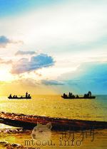 INTERNATIONAL CONFERENCE ON EARLY RESULTS OF FGGE AND LARGE-SCALE ASPECTS OF ITS MONSOON EXPERIMENTS（ PDF版）