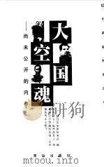 大国空魂 尚未公开的内参 1998 PDF电子版封面 7543619288 薛家柱著
