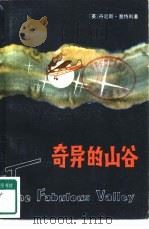奇异的山谷（1982 PDF版）