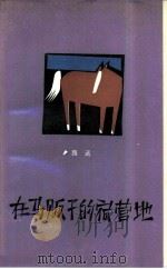 在马贩子的宿营地 1988 PDF电子版封面 750630063X 路远著
