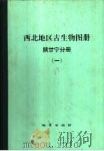 西北地区古生物图册  《陕、甘、宁分册》  1  前寒武纪-早古生代部分（1982 PDF版）