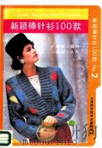 新颖棒针衫100款  2（1989 PDF版）