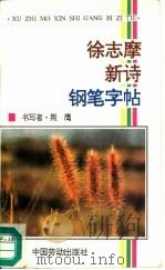 徐志摩新诗钢笔字帖 1991 PDF电子版封面 7504507865 荆鹰书