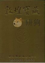 敦煌宝藏  第64册  北909-1067号   1983  PDF电子版封面  9571702919  黄永武博士 