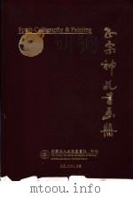 正宗神乩书画册 1995 PDF电子版封面 宋光宇主编