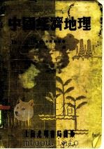 中国经济地理  全1册（1937 PDF版）
