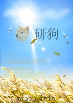 计算机科学理论  程序设计途径（1988 PDF版）