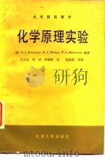大专院校教材 化学原理实验 1987 PDF电子版封面 (美)E.J.SlowinskiW.C.WolseyW.L.