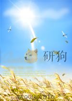 全国新书目  第4期  总第81期（1959 PDF版）