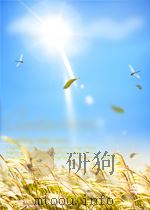 科学情报工作  第1期  总第24期（1960 PDF版）