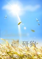 人民警察 第5卷 第4期 1951 PDF电子版封面 10047506