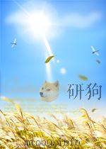光明日报索引 第6期 总第67期 1958 PDF电子版封面