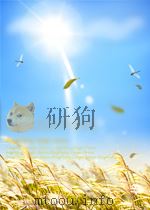 江苏教育 第11期 总第167期 1960 PDF电子版封面 10056009