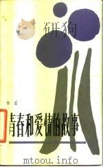 青春和爱情的故事（1984 PDF版）