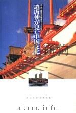 遣唐使が见た中国文化  奈良·藤原京建都千三百年   1995  PDF电子版封面     