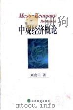 中观经济概论（1999 PDF版）