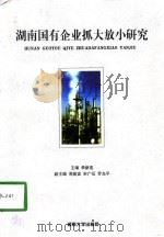 湖南国有企业抓大放小研究 1998 PDF电子版封面 7810530666 李新连主编