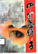 中国的眸子（1989 PDF版）
