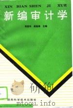 新编审计学（1994 PDF版）