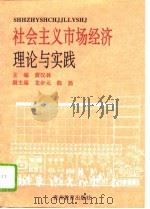 社会主义市场经济理论与实践（1994 PDF版）