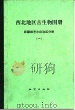 西北地区古生物图册 新疆维吾尔自治区分册 1 1981 PDF电子版封面 新疆地质区域地质调查大队,新疆地质局地质科学研究所,新疆石油